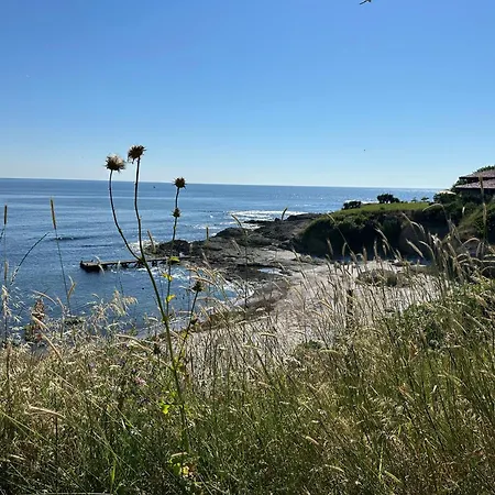 Oasis Luxury - Lozenetz